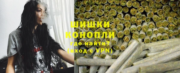 ешки Белокуриха
