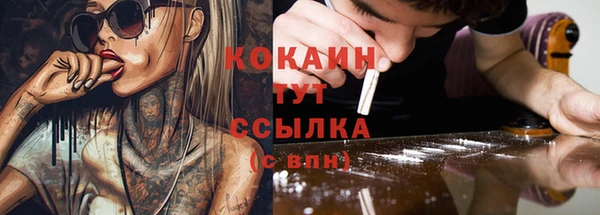 ешки Белокуриха