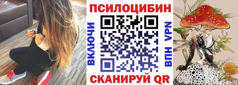 что такое наркотик Богородск mega tor Галлюциногенные грибы прущие грибы